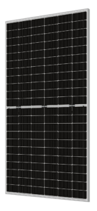 Jolywood - 900 x 1200